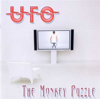 UFO: © 2006 "The Monkey Puzzle"