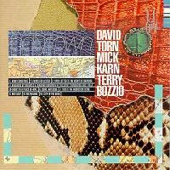 David Torn, Mick Karn & Terry Bozzio-Polytown