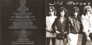 Wild Horses © - 1980 The First Album