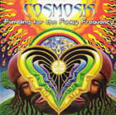 Cosmosis - Fumbling For The Funky Frequency (2009)