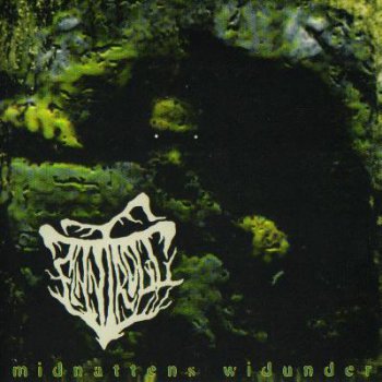 Finntroll - Midnattens Widunder(1999)