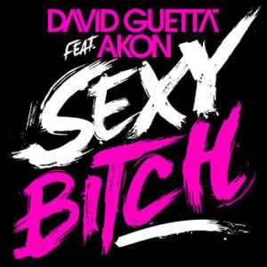 David Guetta Feat. Akon - Sexy Bitch / Sexy Chick (CDM)  (2009)