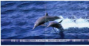 Дельфины:) - Нырните с дельфинами 2001