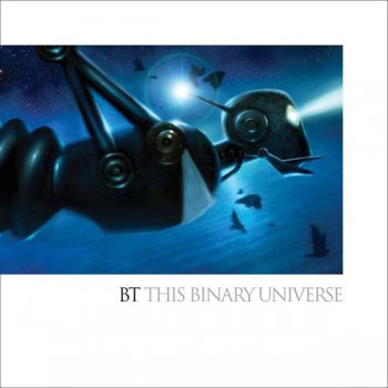 BT - This Binary Universe