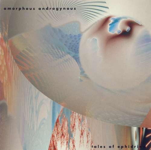 amorphous androgynous. amorphous androgynous tales of