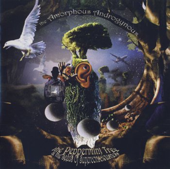 2008 - Amorphous Androgynous - The Peppermint Tree & The Seeds Of Superconciousness[fsoldigital.com]