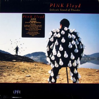 Pink Floyd - Delicate Sound Of Thunder (2LP Set EMI UK VinylRip 24/96) 1988