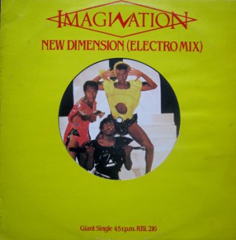 IMAGINATION - New Dimension (Electro Mix)(PRT Records RBL 216,SP - VinylRip 24/48) 1983 