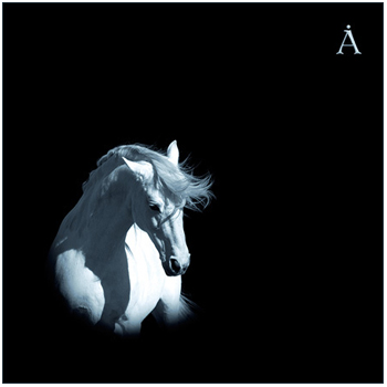 Аквариум: Лошадь белая (2008)
