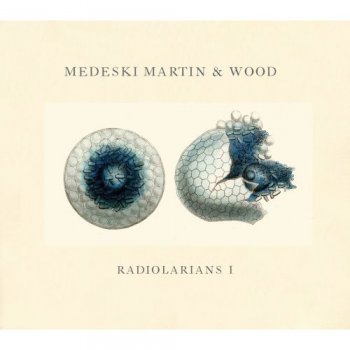Medeski, Martin & Wood "Radiolarians I" (2008)