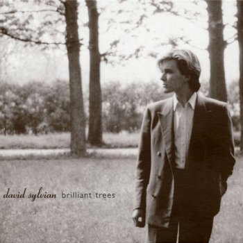 DAVID SYLVIAN - BRILLIANT TREES - 1984