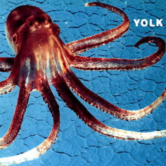 Yolk - Octopus (1997)