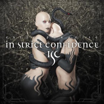 In Strict Confidence-Discography (1996-2010)