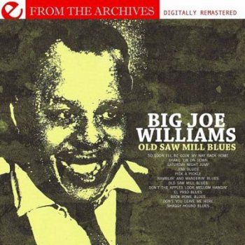 Big Joe Williams - Old Saw Mill Blues (2010)