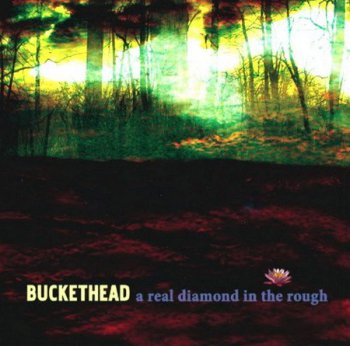 Buckethead - A Real Diamond In The Rough (2009)
