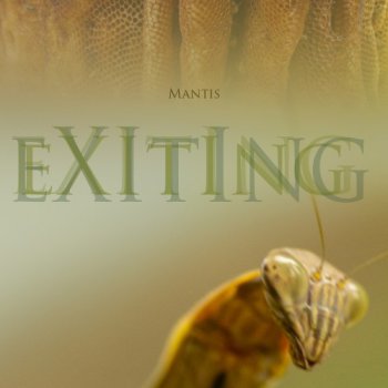 Mantis - Exiting