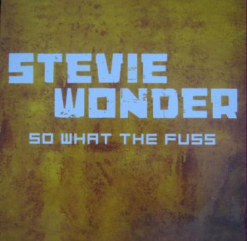Stevie Wonder - So What the Fuss (2005)