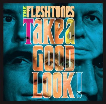 The Fleshtones - Take A Good Look! (2008)
