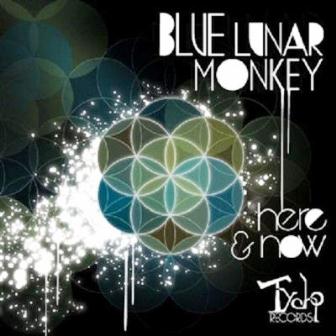 Blue Lunar Monkey - Here & Now (2011)