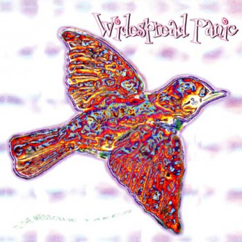 Widespread Panic - 'Til the Medicine Takes 1999