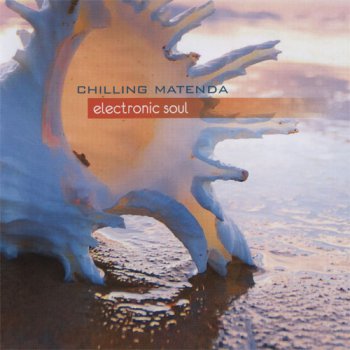 Chilling Matenda - Electronic Soul (2011)