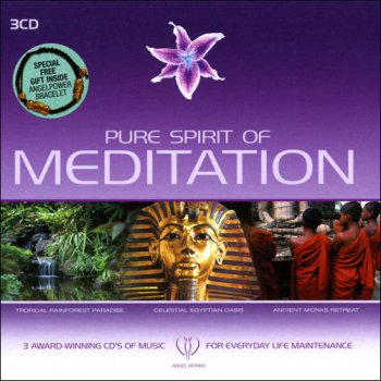VA - Pure Spirit Of Meditation (2005)