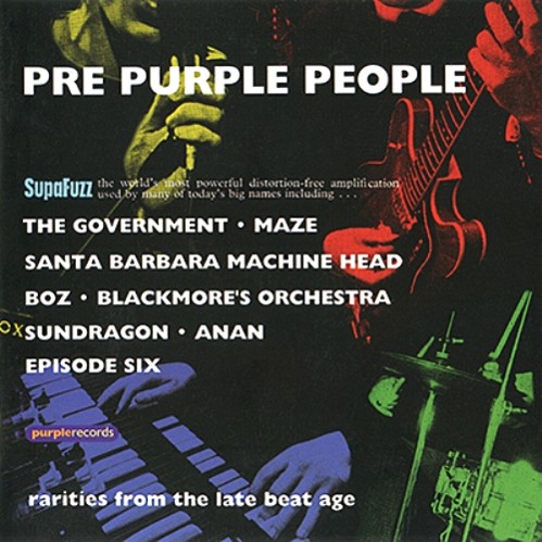 V/A - Pre Purple People: Rarities From The Late Beat Age (2001)