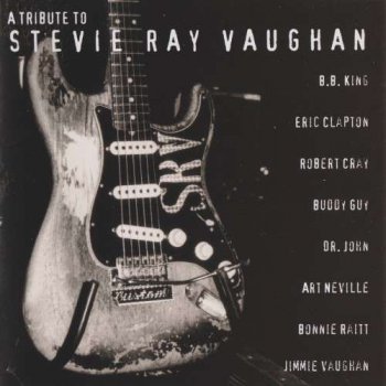 VA - A Tribute To Stevie Ray Vaughan (1996)