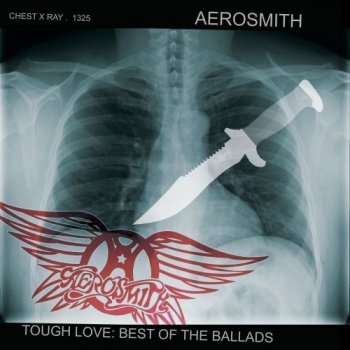 Aerosmith - Tough Love (2011)