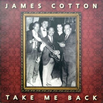 James Cotton - Take Me Back (Blind Pig US LP VinylRip 24/96) 1987
