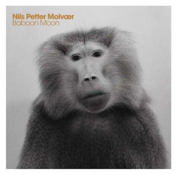 Nils Petter Molvaer - Baboon Moon (2011)