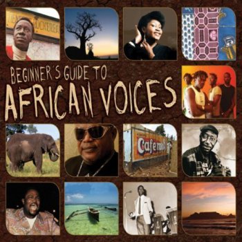 VA - Beginner's Guide To African Voices (2010)