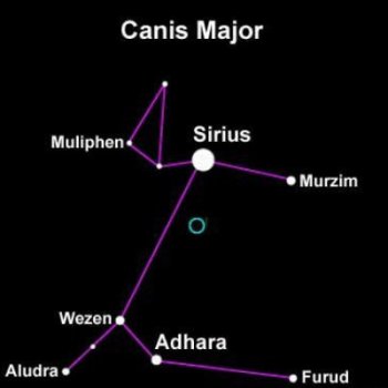 Canis Major - Solar Plexus 2007