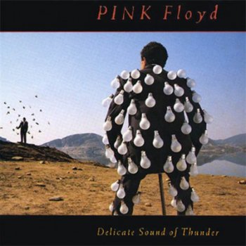 PINK FLOYD - Delicate Sound of Thunder [Columbia – PC2 44484, US, 2 LP (VinylRip 24/192)] (1988)