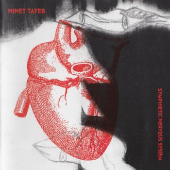 Ninet Tayeb - Sympathetic Nervous System (2012)