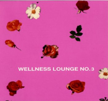 VA - Wellness Lounge No 3 (2004) 2CD