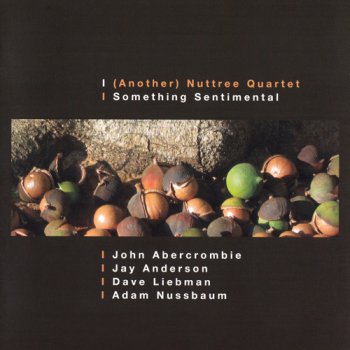 (Another) Nuttree Quartet - Something Sentimental (2009)