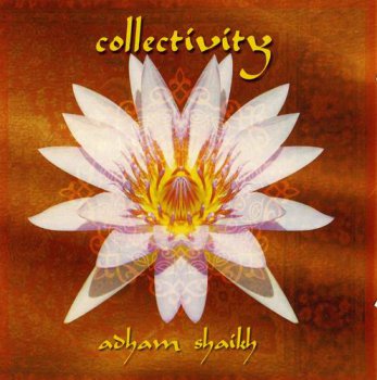 Adham Shaikh - Collectivity (2006)