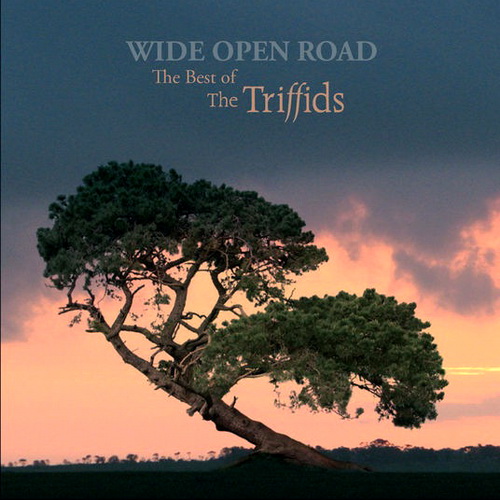 The Triffids (Discography)