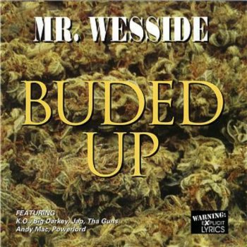 Mr. Wesside-Buded Up 2000 