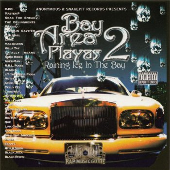 V.A.-Bay Area Playas 2:Raining Ice In The Bay 2000