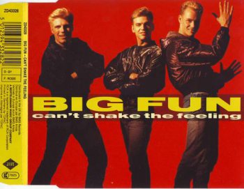 Big Fun - Can't Shake The Feeling (CD, Maxi-Single) 1989