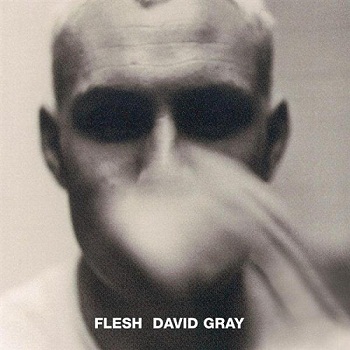David Gray - Flesh (1994)