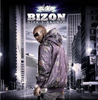 Bizon-Disk 2 Bronze 2010