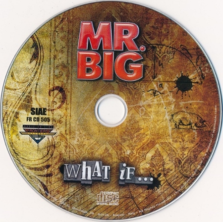 Mr. Big - What If...(2011)