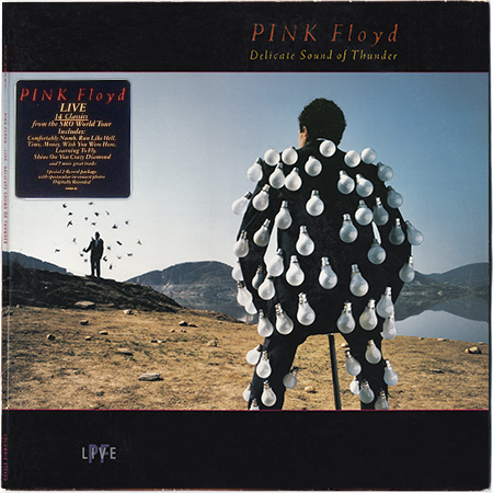 PINK FLOYD «Discography on vinyl» (37 x LP • 20 albums • Pink Floyd Music Limited • 1967-2014) PINK FLOYD «Discography on vinyl» (37 x LP • 20 albums • Pink Floyd Music Limited • 1967-2014)