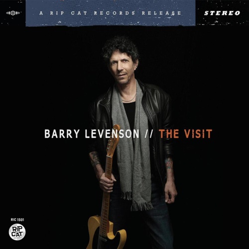 Barry Levenson - The Visit (2015)