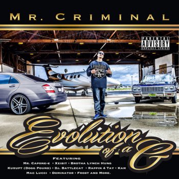 Mr. Criminal-Evolution Of A G 2015
