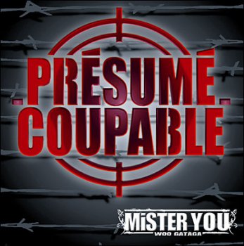 Mister You-Presume Coupable 2010