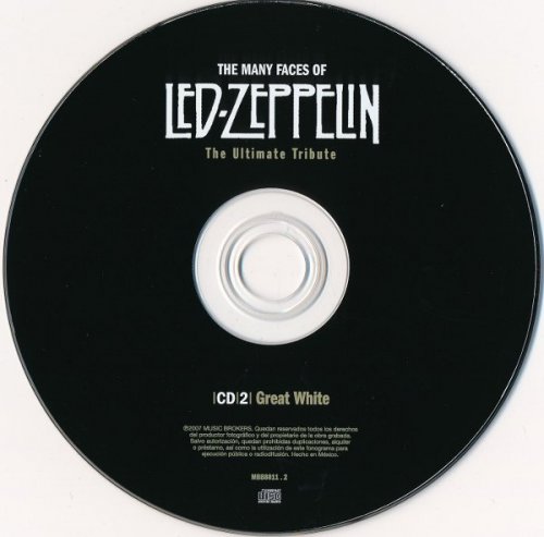 VA - The Many Faces Of Led Zeppelin - The Ultimate Tribute